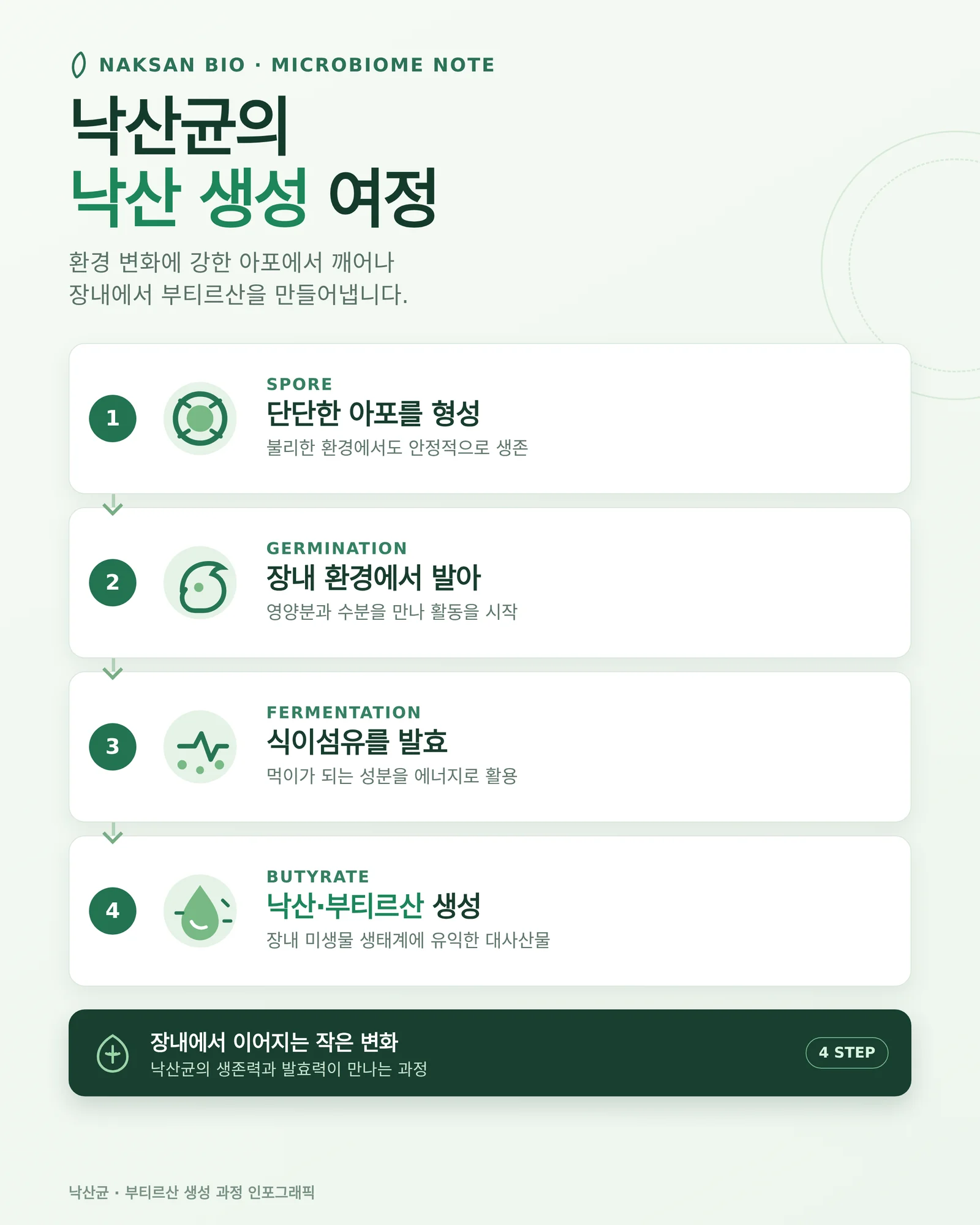 낙산균 복용법 - 낙산 생성 과정을 정리한 참고 이미지